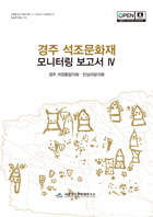 경주 석조문화재 모니터링 보고서Ⅳ